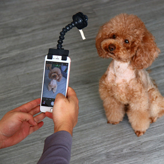 Pet Selfie Stick