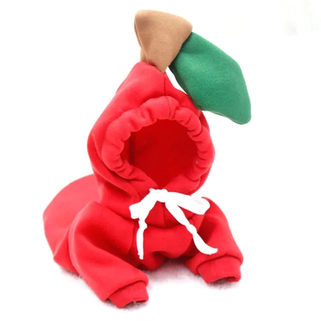 CozyFruit -  Warm Winter Fruit-Themed Dog Clothes