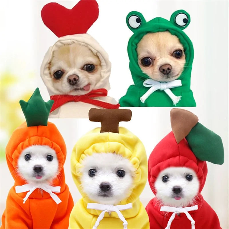 CozyFruit -  Warm Winter Fruit-Themed Dog Clothes