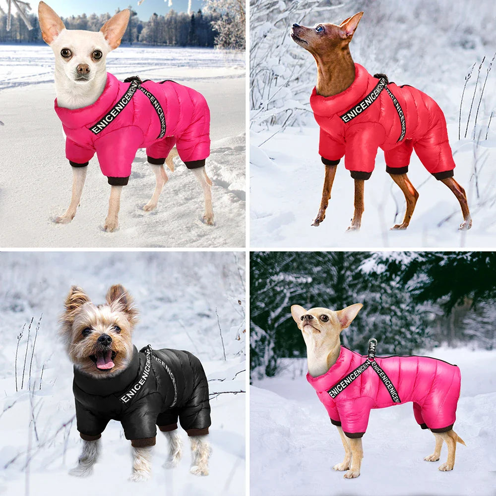 Dog Waterproof Coat With Harness