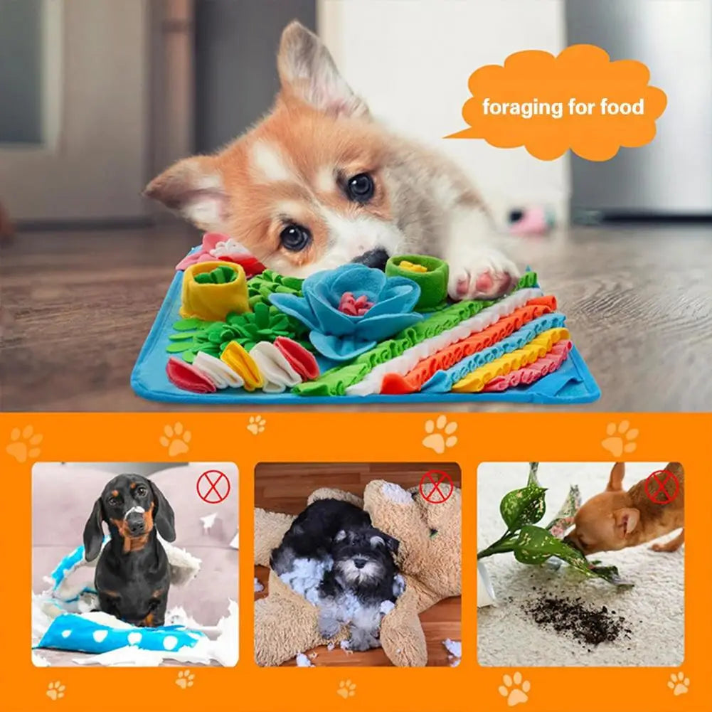 Pet Training Blanket