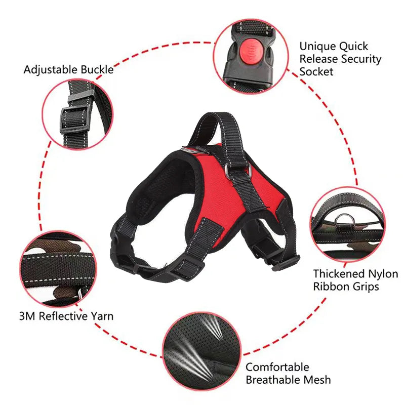 Stride Right Reflective Dog Harness