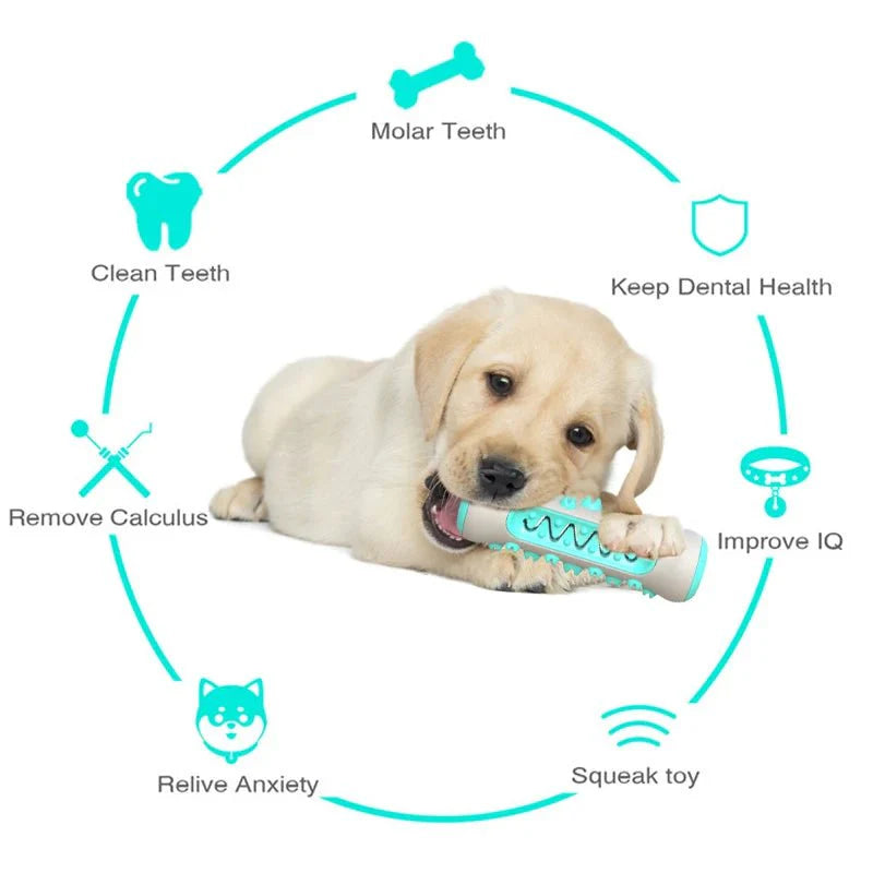 Dog Molar Toothbrush Toy | Soft Chew for Safe Puppy Dental Care