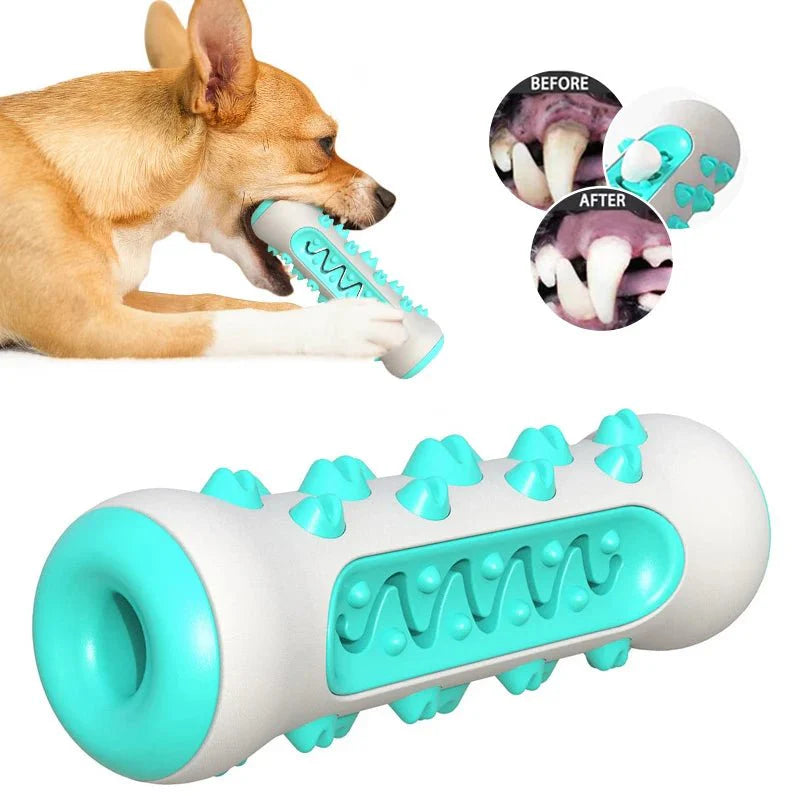 Dog Molar Toothbrush Toy | Soft Chew for Safe Puppy Dental Care