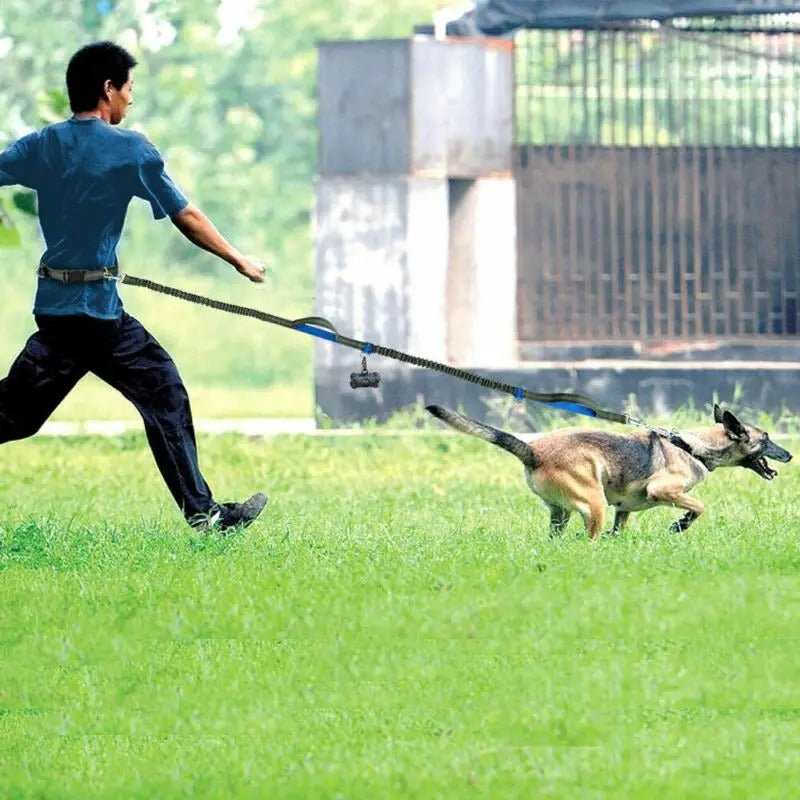 Jogging Leash