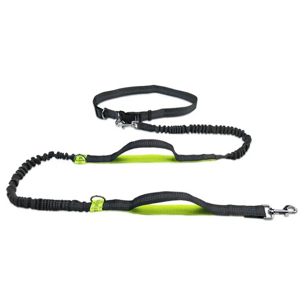 Jogging Leash